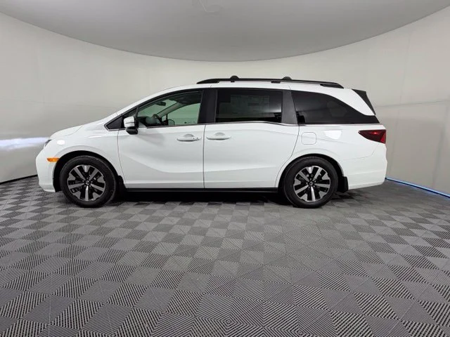 New 2027 Platinum White Pearl Honda EX-L image 4