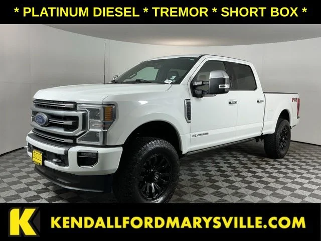 Used 2022  Ford Platinum image 1
