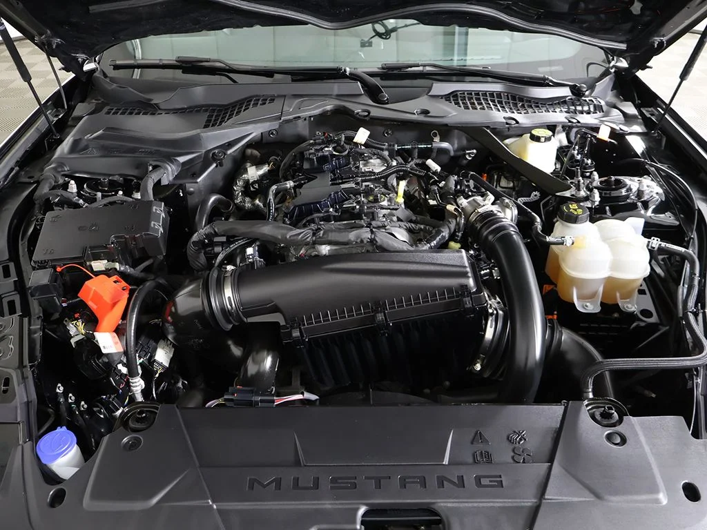 Used 2024 Shadow Black Ford EcoBoost Premium image 21