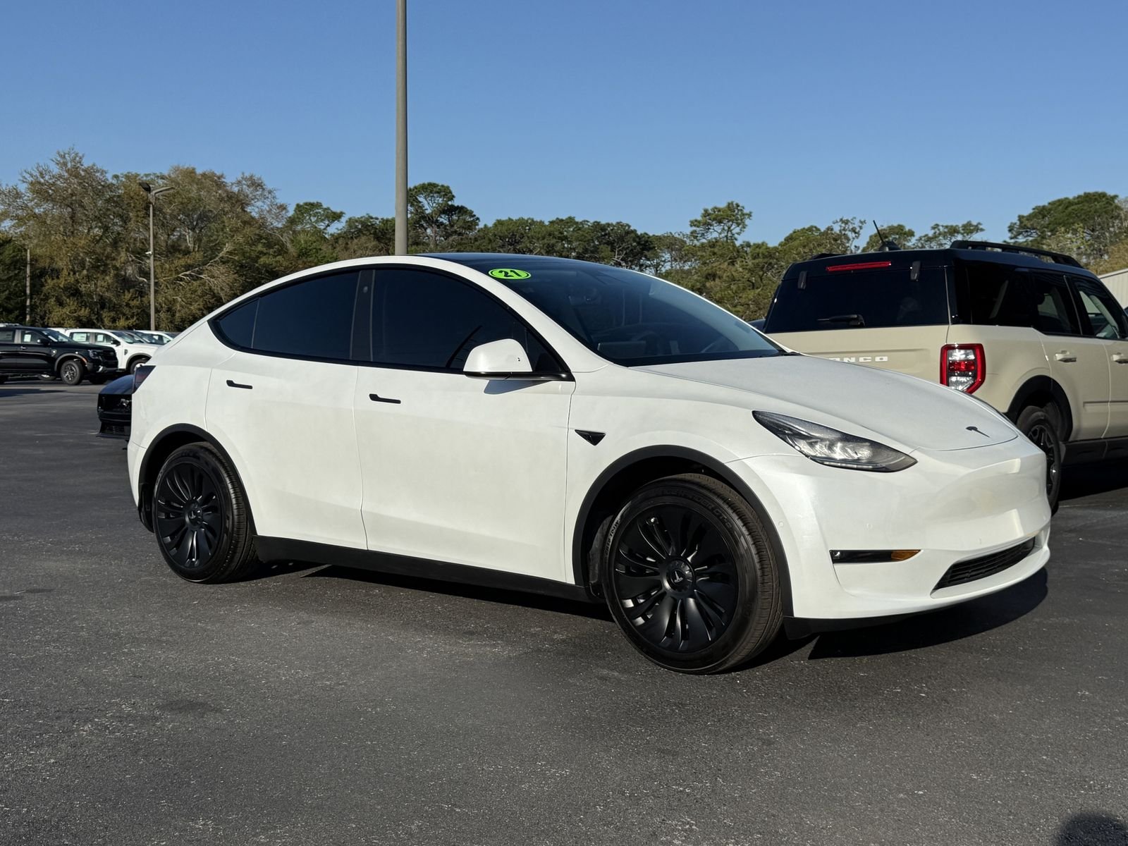 Used 2021 Tesla Model Y Standard Range with VIN 5YJYGAED1MF116539 for sale in Spring Hill, FL