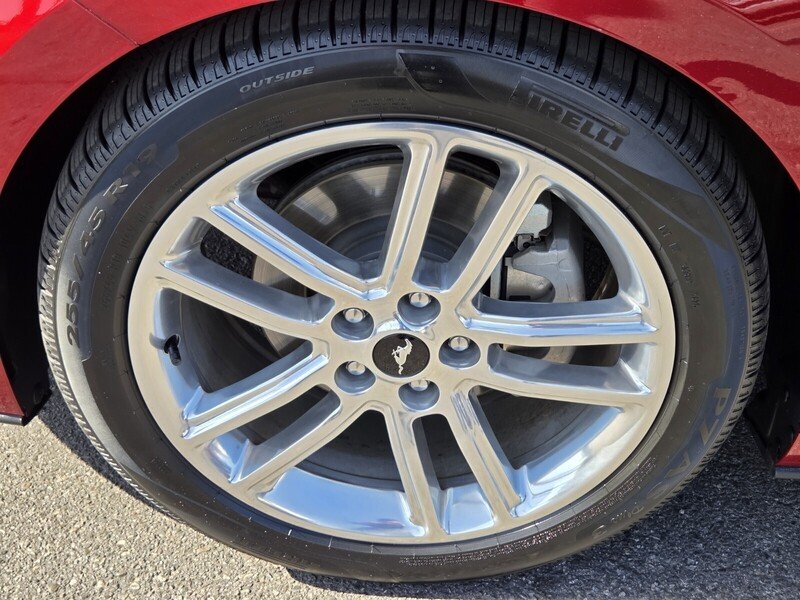 Used 2016 Red Ford EcoBoost Premium image 13