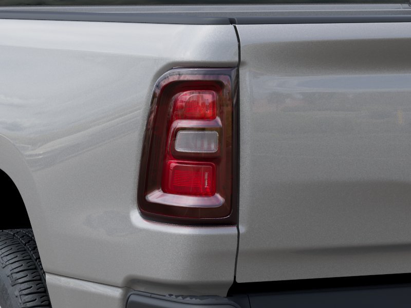New 2026 Silver Zynith Exterior Paint RAM  image 5