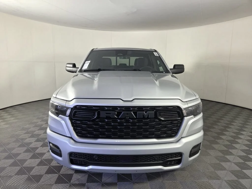 New 2026 Silver Zynith Exterior Paint RAM Express image 3