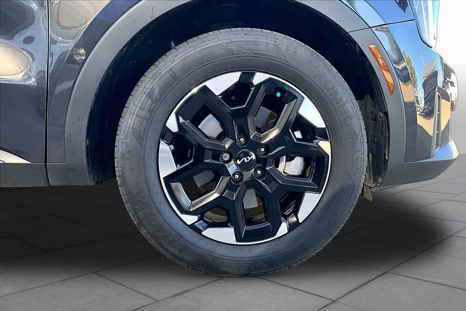 Used 2025 Panthera Metal Kia S image 10