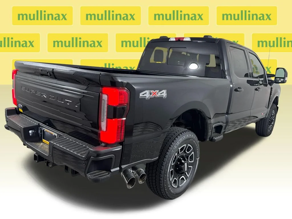 New 2026 Black Ford Platinum image 21