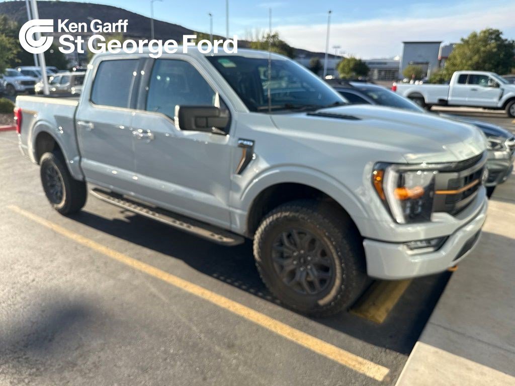 Used 2023 Avalanche Gray Ford XL image 1