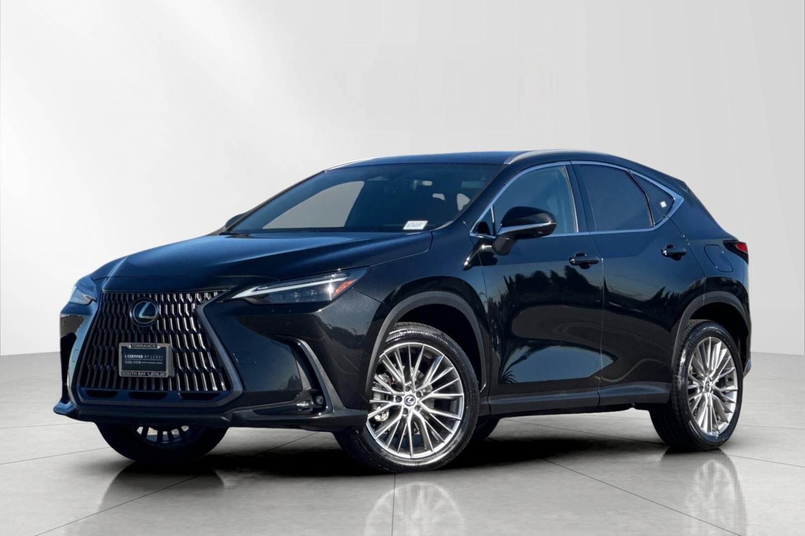 2024 Lexus NX