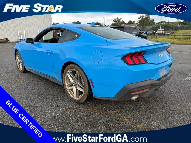 Used 2024 Grabber Blue Ford EcoBoost Premium image 5