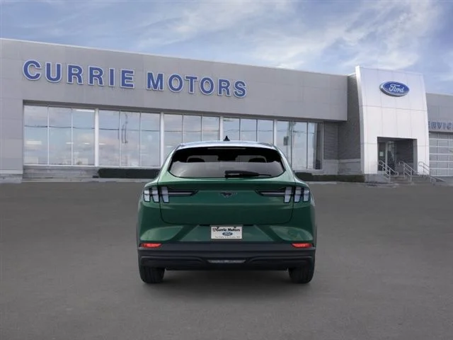 New 2026 Eruption Green Metallic Ford Premium image 27