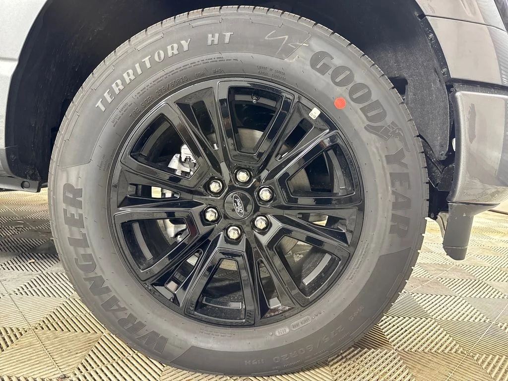 New 2026 Gray Ford Platinum image 16