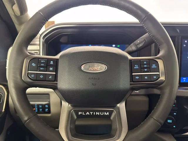 Used 2026 Gray Ford Platinum image 19
