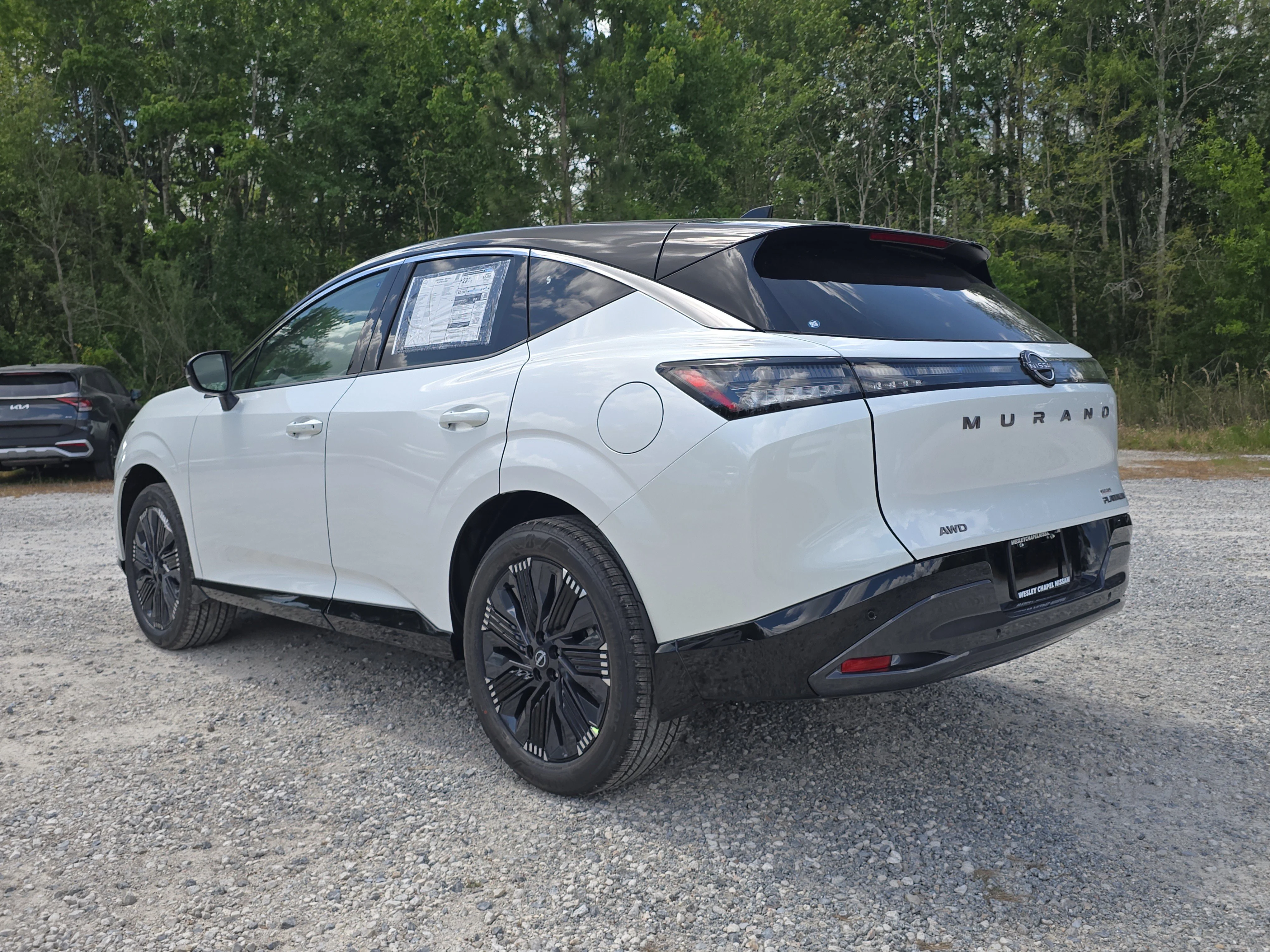 New 2026 Everest White Pearl TriCoat / Super Black Two-tone Nissan Platinum image 6