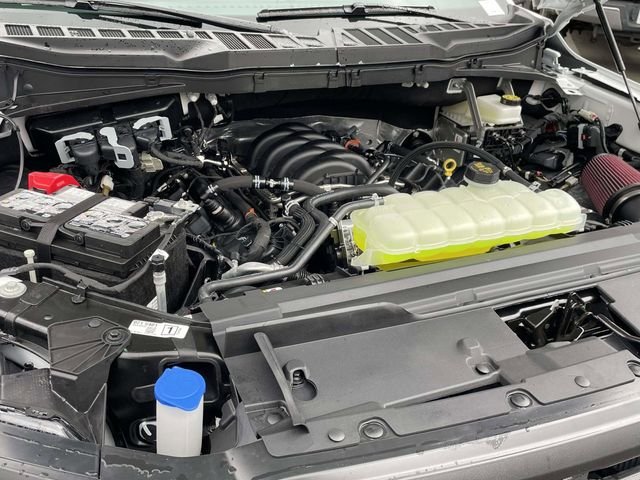 New 2026 Oxford White Ford TCcustoms image 22