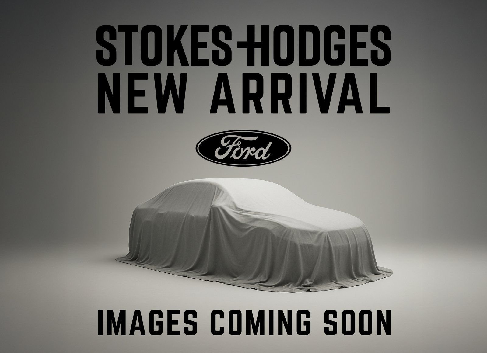 2024 Ford F-150 XLT - Photo 13