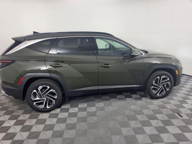 New 2026 Green Hyundai Limited AWD image 4