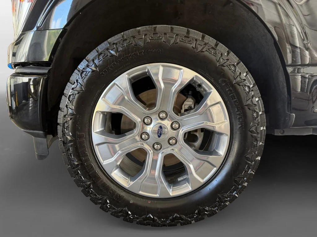 Used 2021 Black Ford Platinum image 15
