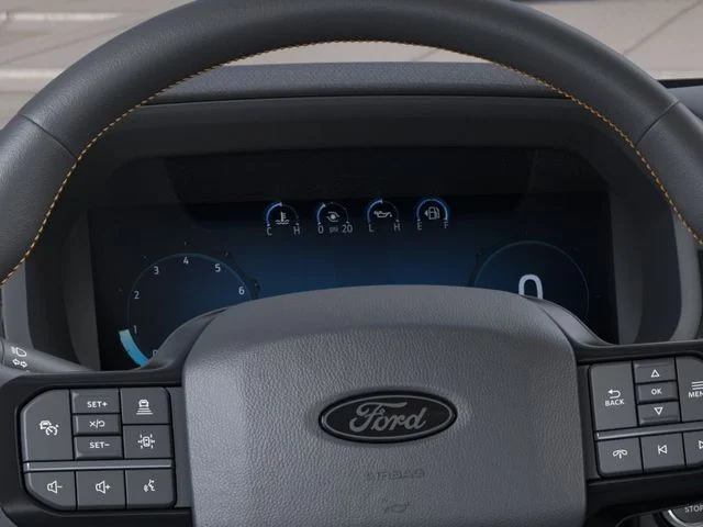 New 2026 Gray Ford Tremor image 13
