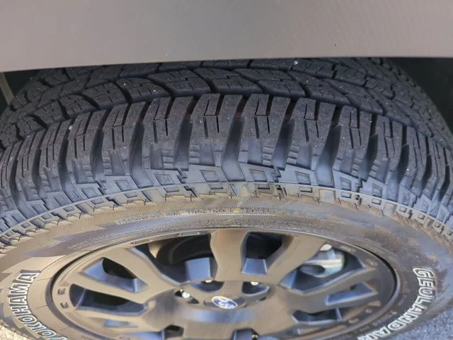 2026 Subaru Forester Wilderness - Photo 11