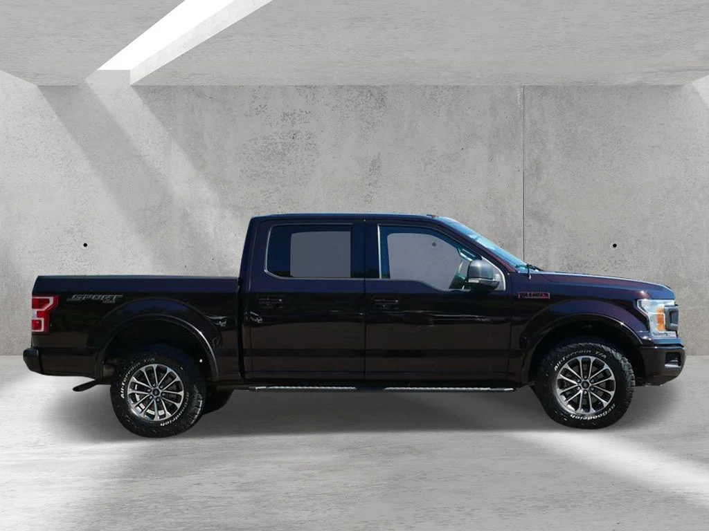 Certified 2019 Ford F-150 XLT with VIN 1FTEW1EPXKFA41462 for sale in White Bear Lake, Minnesota