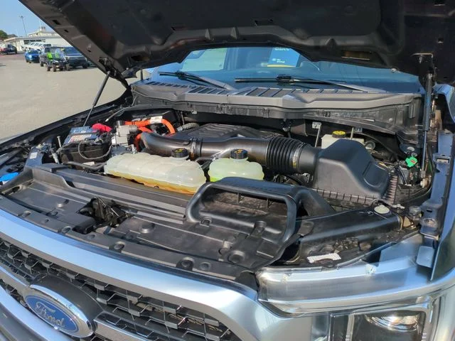 Used 2023 Gray Ford Platinum image 37