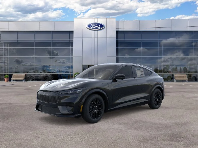 New 2026 Shadow Black Ford Premium image 18