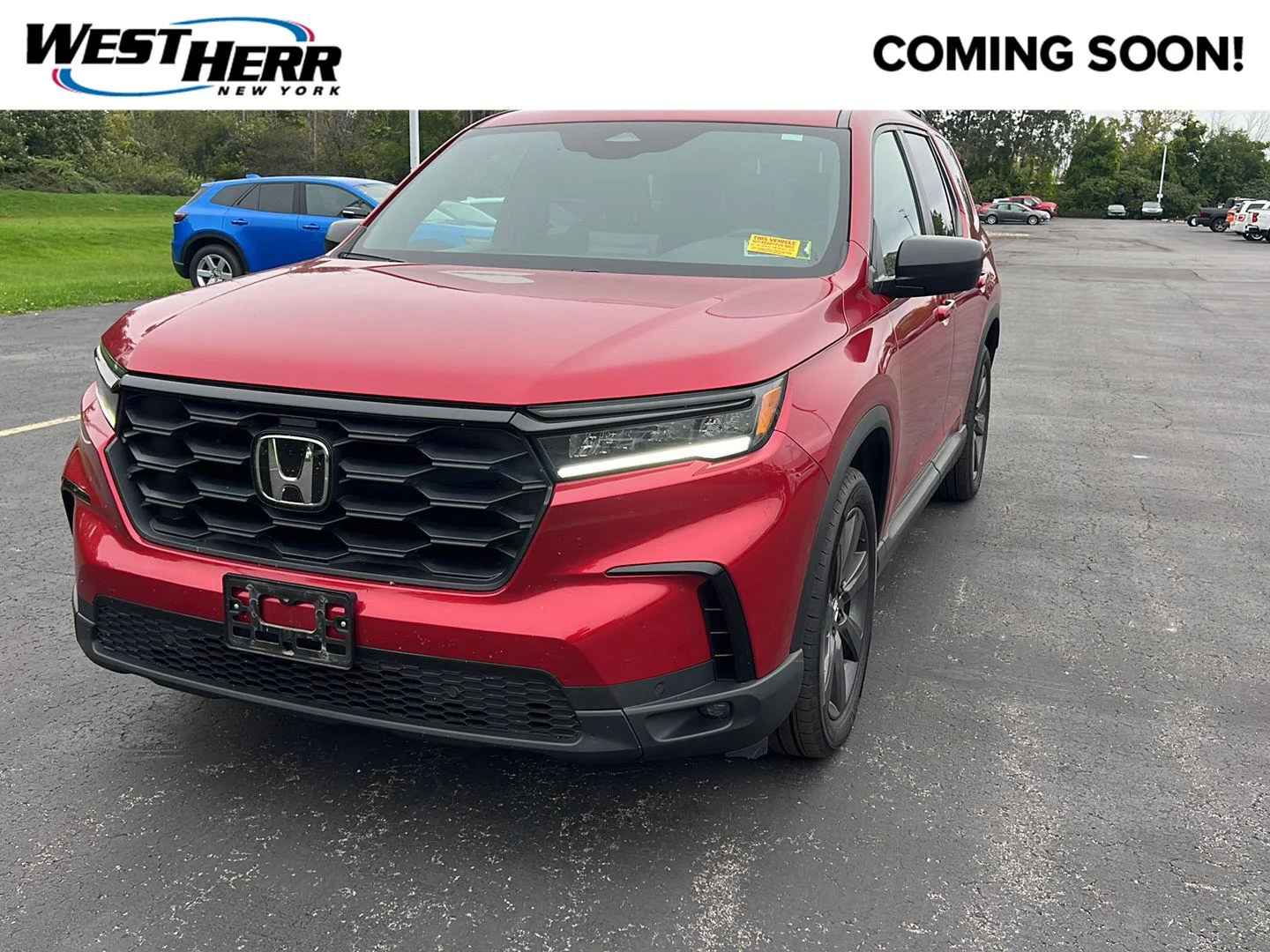 Used 2025 Radiant Red Metallic II Honda Sport image 1