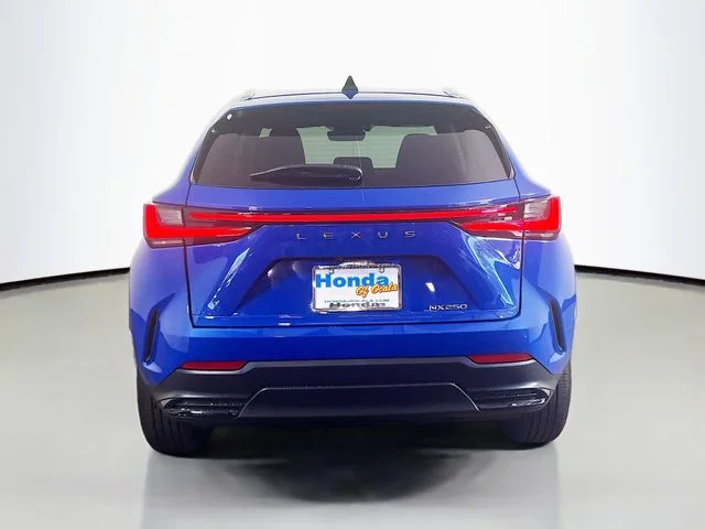 Used 2025 Grecian Water Lexus 250 Premium image 22