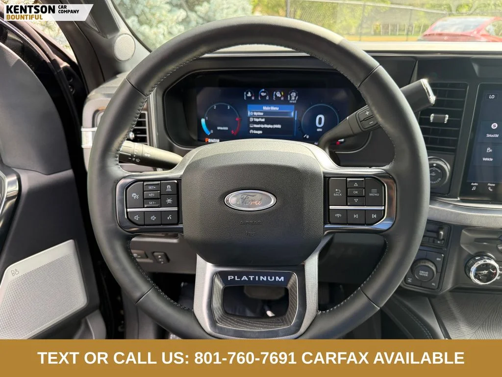 Used 2025 Black Ford Platinum image 14
