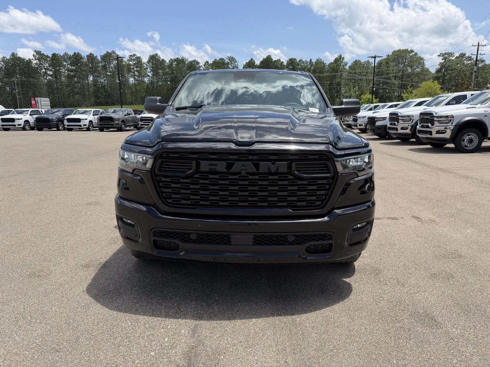 New 2026 Diamond Black Crystal Pearl-Coat Exterior Paint RAM Express image 2