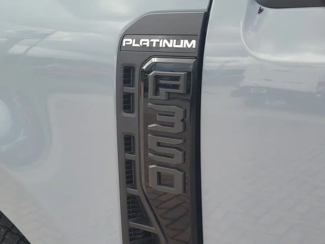 New 2026 Gray Metallic Ford Platinum image 9