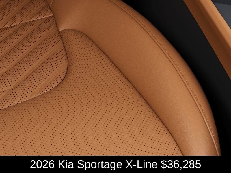 New 2026 Panthera Metal Gray Kia X-Line image 24