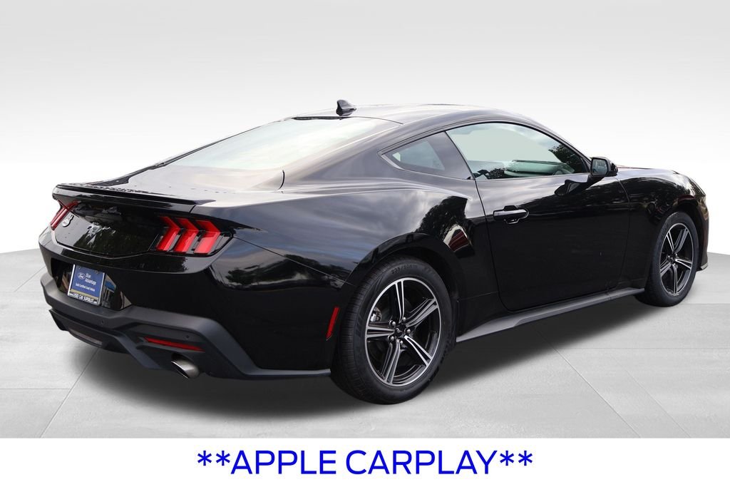 Used 2025 Shadow Black Ford EcoBoost Premium image 17