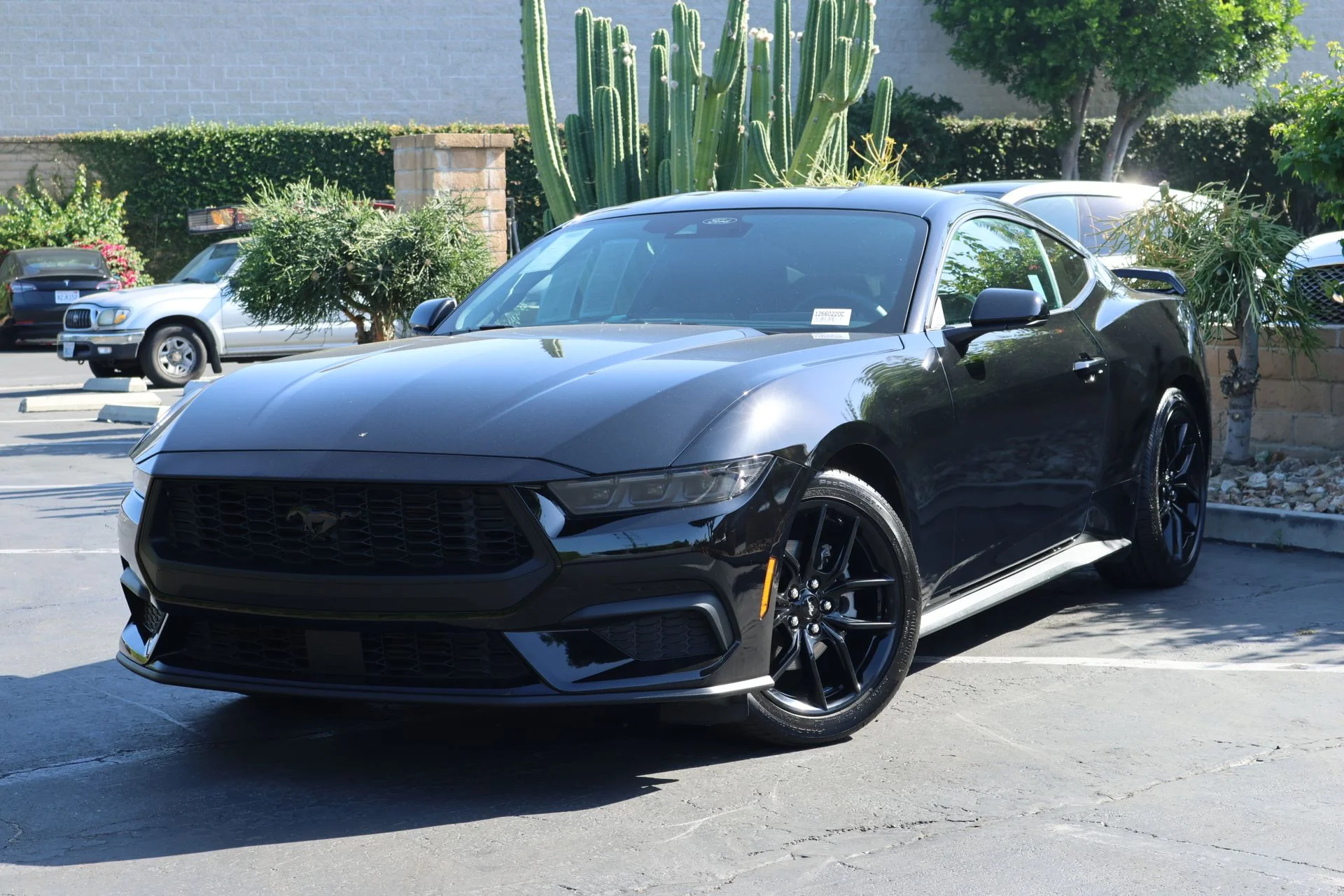 Used 2025 Black Ford EcoBoost image 1