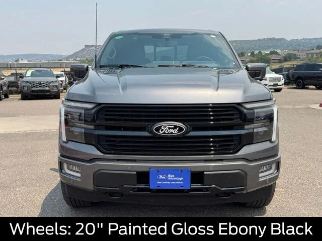 Used 2025 Gray Ford Platinum image 19