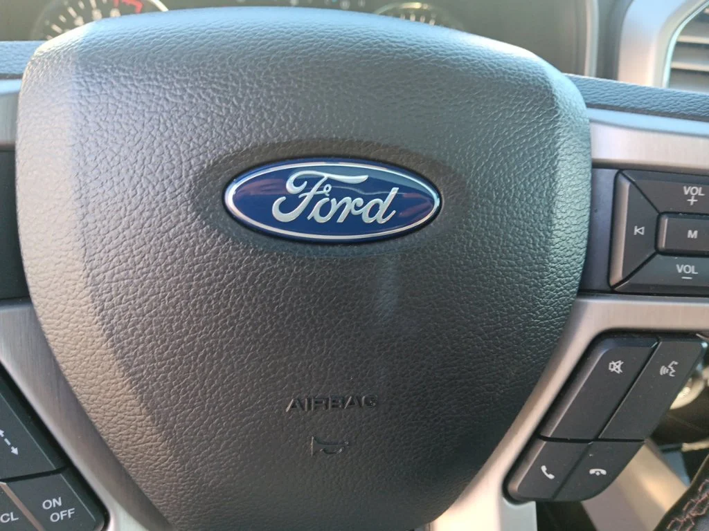 Used 2018 Magnetic Ford Platinum image 19