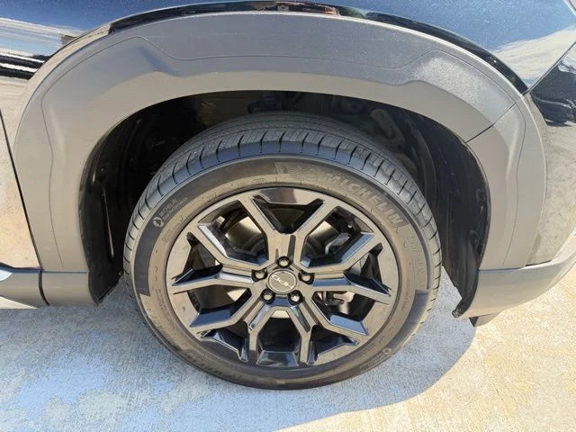 Used 2025 Black Honda Elite image 8
