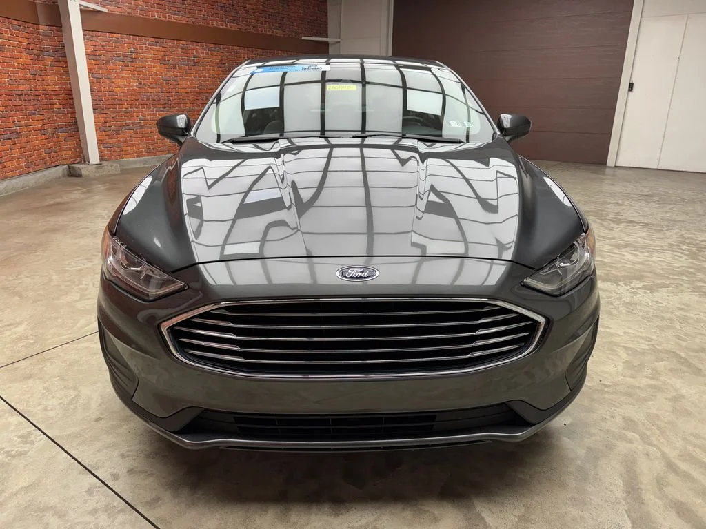 Used 2019 Magnetic Ford S image 6