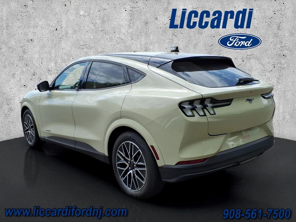 Used 2025 Beige Ford Premium image 4