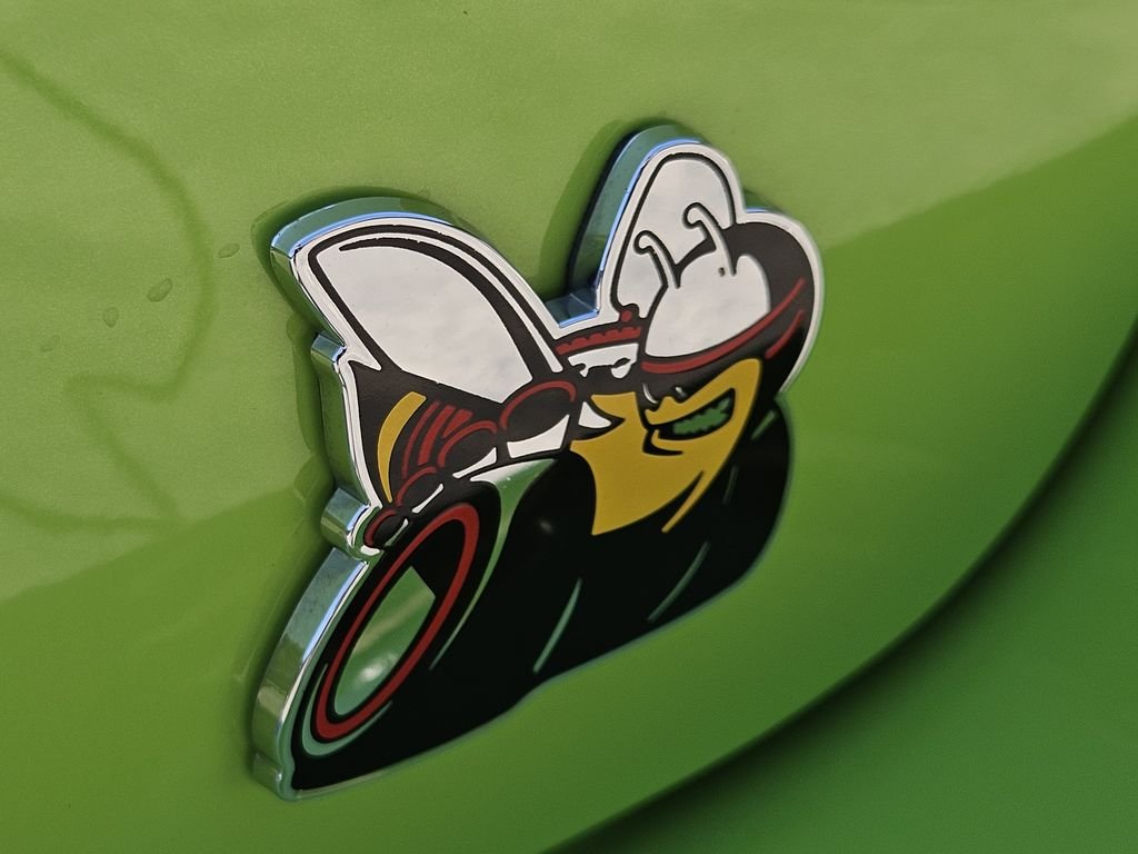 Photo 13