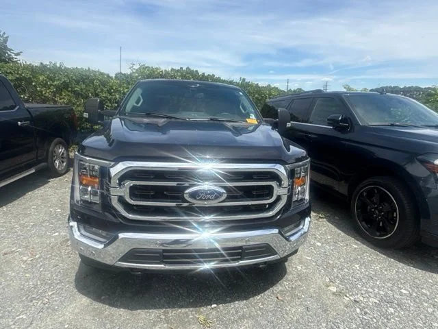 Used 2023 Black Ford XLT image 3