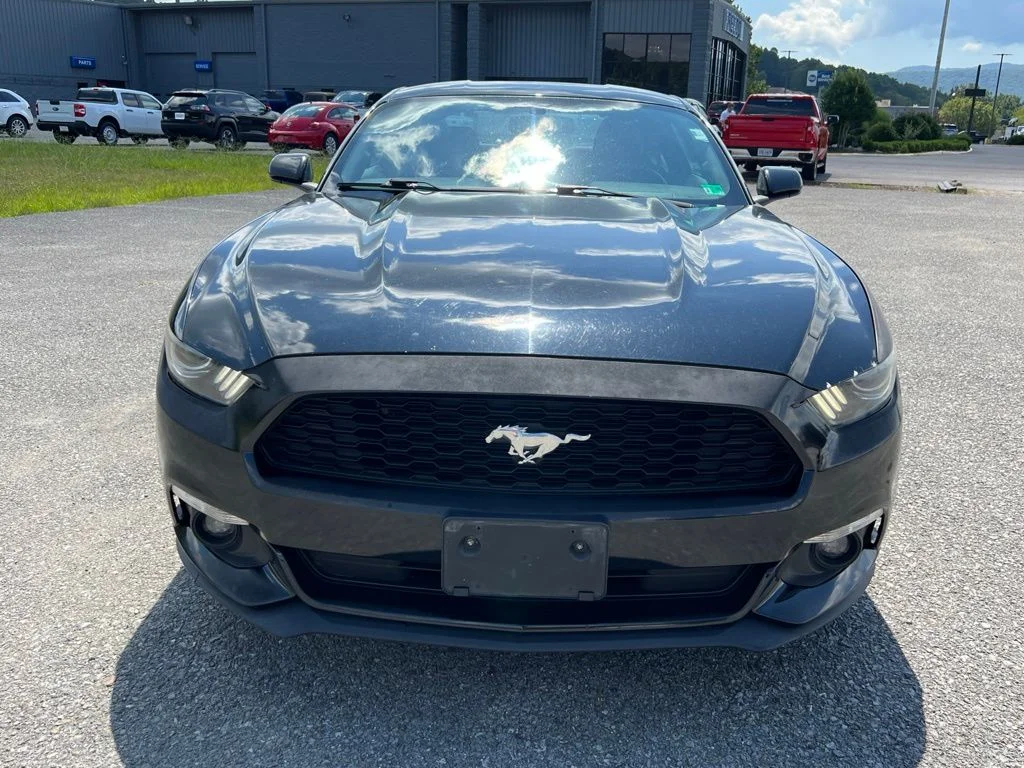 Used 2016 Black Ford V6 image 13