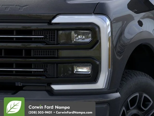 New 2026 Agate Black Metallic Ford Platinum image 18
