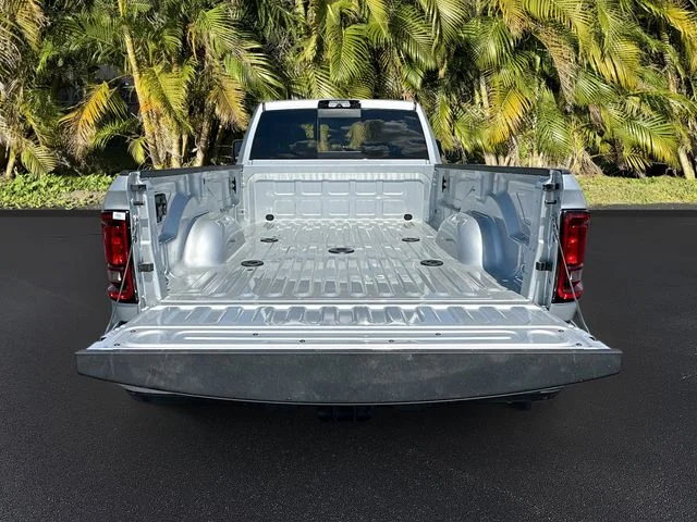 New 2026 Silver-Zynith Exterior Paint RAM Tradesman image 6