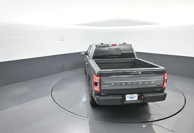 Used 2023 Gray Ford Platinum image 31
