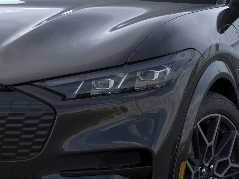 New 2026 Shadow Black Ford GT image 18