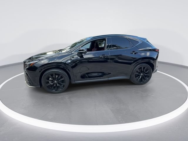 2024 Lexus NX 350 - Photo 4
