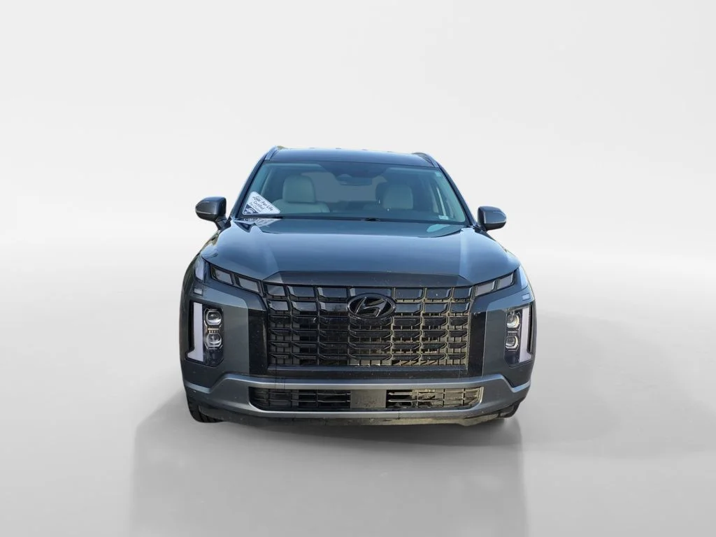 2025 Hyundai Palisade SEL - Photo 8