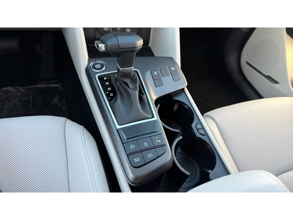 New 2026 Panthera Metal Gray Kia EX image 19