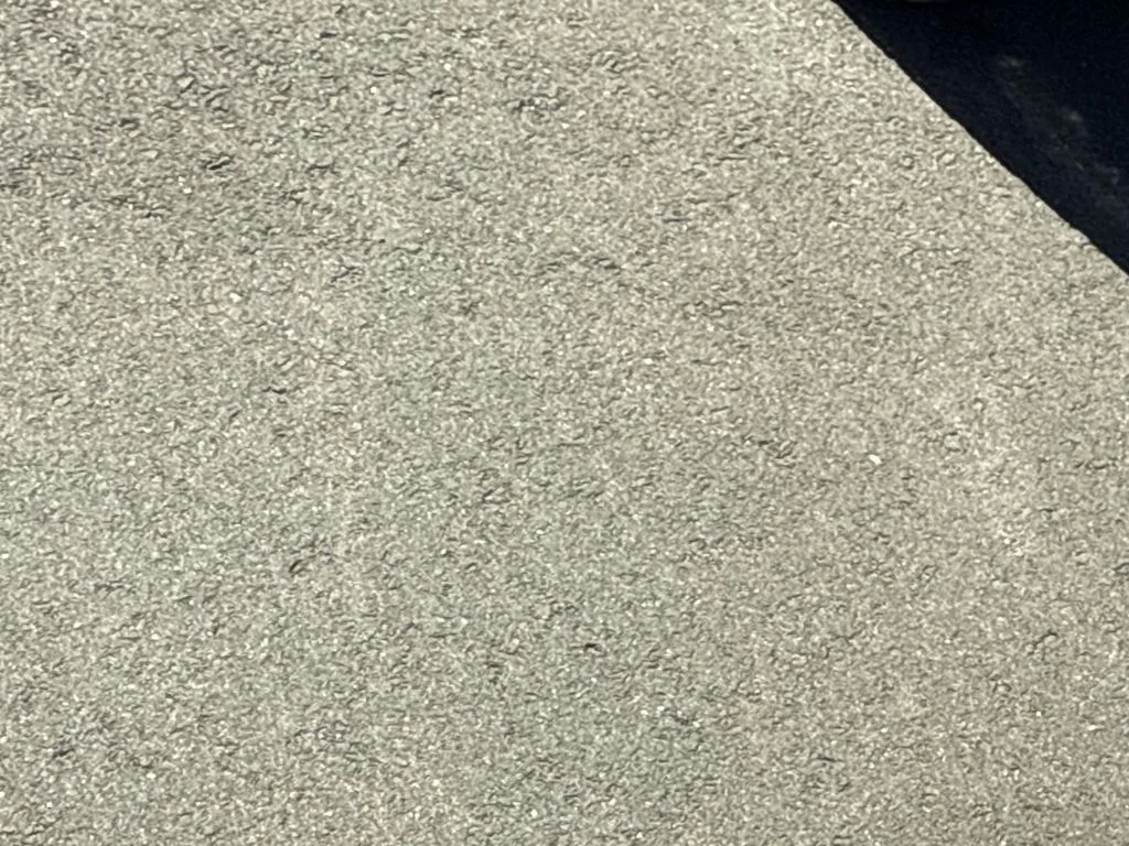 New 2026 Gray Ram Tungsten image 10