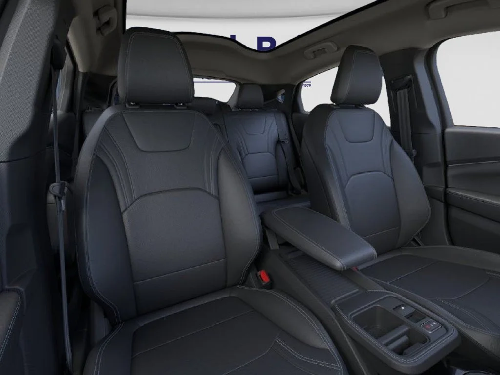 New 2026 Shadow Black Ford Premium image 10
